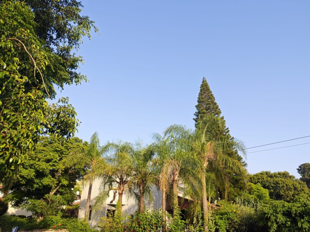 Outdoor pictures demonstrating natural colors