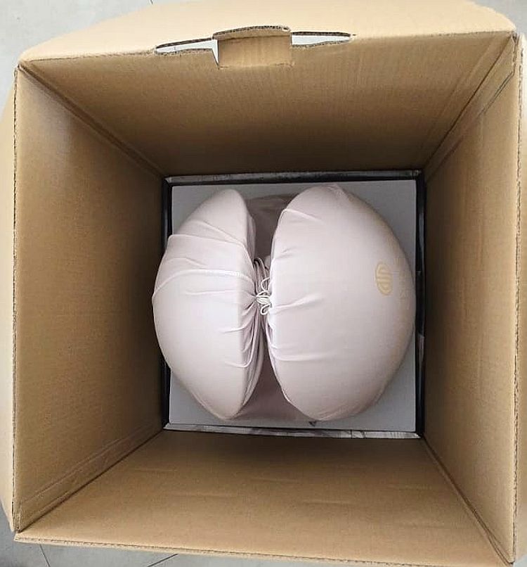 speaker appears Speaker surrounded by thick internal padding