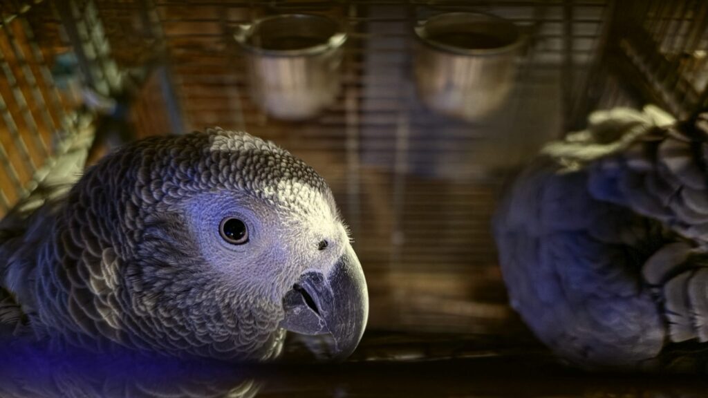 Improved night photography