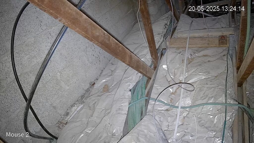 DH-IPC-HFW2449TL-S-IL-LED-PRO at near-total darkness