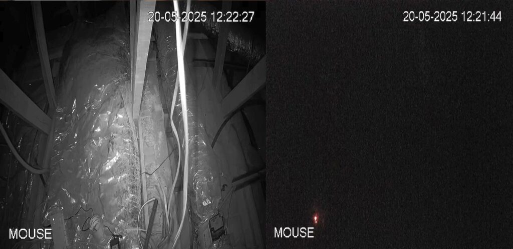 Dahua 4MP IR previous gen cam with (left) and without (right) infra red light