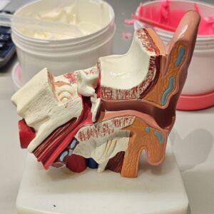 Hearing Loss Treatment