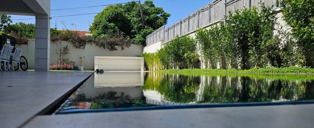 The pool surrounded by dense vegetation