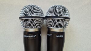 Wireless Karaoke Microphone System